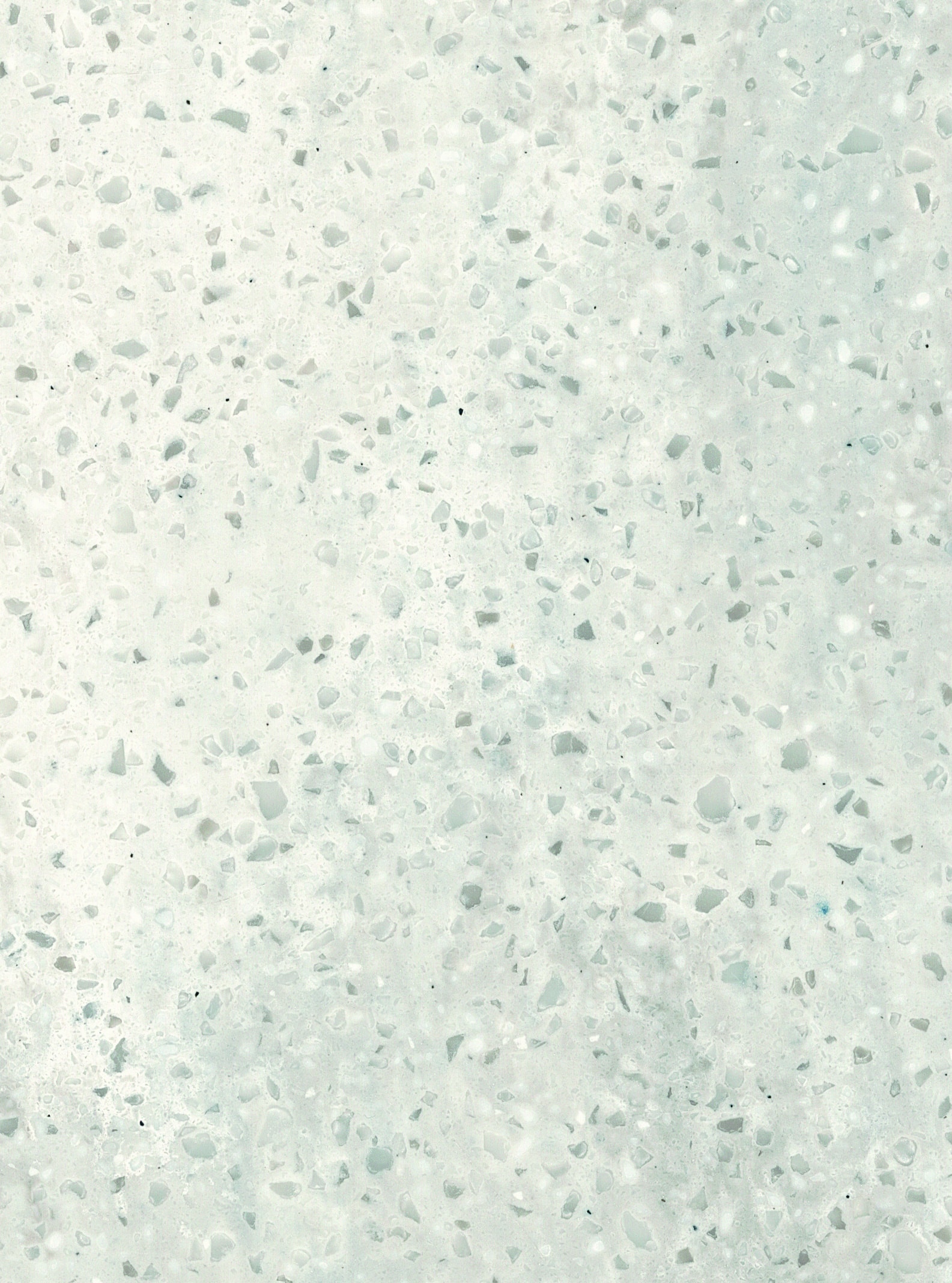 Corian Arrowroot