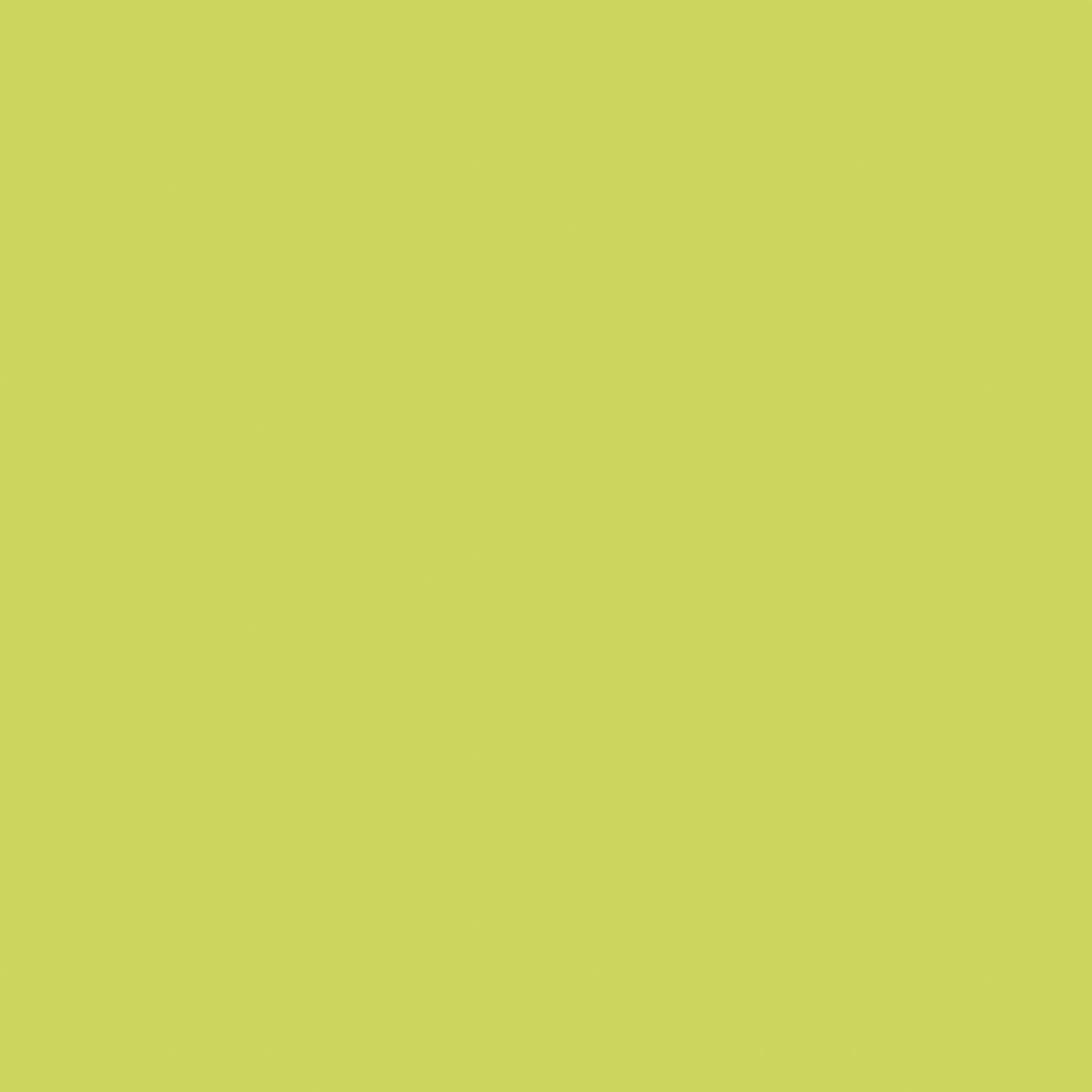 PM4094 Apple