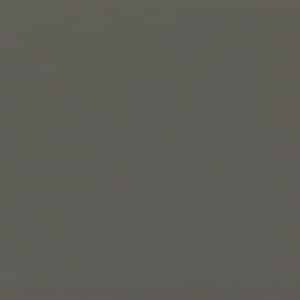 Krion Ash Nature Solid Surface | Grey Speckled